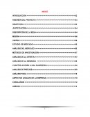 Proyecto Estancia Infantil