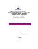 Informe critico del video