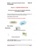 Módulo 1: CADENAS PRODUCTIVAS