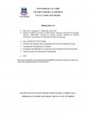 Baston blanco electronico