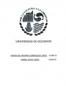 EL USO DEL CELULAR, ENTRE LA COMUNICACIÓN Y LAS PERSONAS