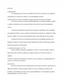 Plagas en frutales de pepita y carozo