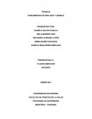 TALLER FUNDAMENTOS BYQ FINAL