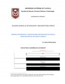 Lineamientos para ensayo juridico