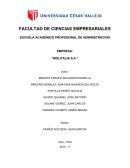 CAPITULO IV EVALUACIÓN INTERNA