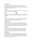 Paneles para energia solar