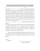 DECLARACIÓN JURADA, COMPROMISO DE RESPONSABILIDAD DE LA UTILIZACIÓN DE ELEMENTOS DE ANIMACIÓN CON OCACIÓN DE PARTIDO DE FÚTBOL PROFESIONAL.