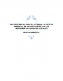 LAS DEFICIENCIAS PARA EL ACCESO A LA JUSTICIA AMBIENTAL EN NAYARIT RESPECTO A LOS INSTRUMENTOS JURIDICOS ACTUALES
