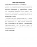 TRAMOS DE UNA ORGANIZACIÓN
