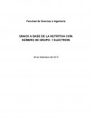 SNACK A BASE DE LA NUTRITIVA CHÍA