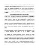 Auto admisorio de pruebas Laboral
