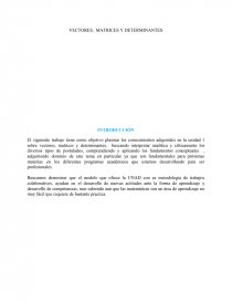 VECTORES, MATRICES Y DETERMINANTES. Página 1