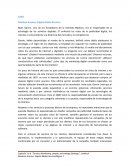 CASO Madison Avenue: Digital Media Services