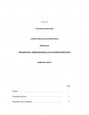 ORGANIZACION Y PLANIFICACION DE ACTIVIDADES DEPORTIVAS