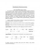 Óxido-Reducción. Método del ión-electrón