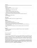 Formato de análisis foda empresa Bael