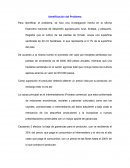 Ensayo caso crisantemos