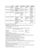 Metodología de filosofía