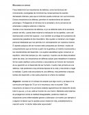 Mecanismos de defensa. Freud determinó los mecanismos de defensa