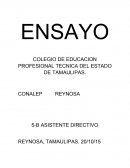 ENSAYO COLEGIO DE EDUCACION PROFESIONAL TECNICA DEL ESTADO DE TAMAULIPAS