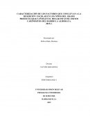 El hogar infantil “ositos cariñositos” del barrio La Alboraya