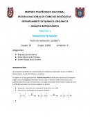 QUÍMICA BIOORGÁNICA PRACTICA 1