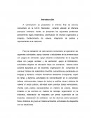 RESUMEN DE INFORME DE SERVICIO COMUNITARIO