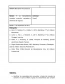 DESARROLLO DE EL COMO SE DA EL ESTUDIO DE MERCADO REVLON