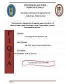 INFORME FINAL DE ELABORACIÓN DE PAPILLA