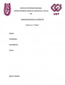 BASES BIOLÓGICAS DE LA CONDUCTA Tálamo