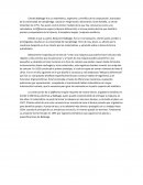 Charles Babbage fue un matemático, ingeniero y científico de la computación