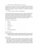 COMO SE ATIENDE A LA PRIMERA INFANCIA