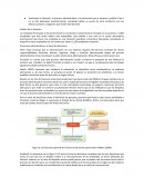 El proceso administrativo y la toma de decisiones