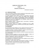 Ensayo Derecho procesal civil
