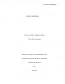 Trabajo de normas: Entes economicos