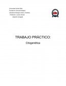 TRABAJO PRÁCTICO: Citogenética