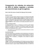 Apuntes de Electroforesis