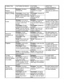 Resumen de pelicula a los 13