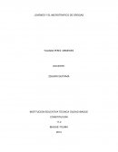 Proyecto microtrafico INSTITUCION EDUCATIVA TECNICA CIUDAD IBAGUE