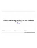 Programa de Actividades de Gestión de Seguridad y Salud Ocupacional