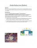 Oxido Reduccion (Redox)