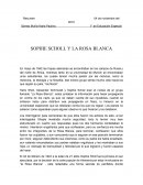 El Resumen de la pelicula La Rosa Blanca