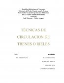 CLASIFICACION DE LAS VIAS FERREAS (A.R.E.A.)
