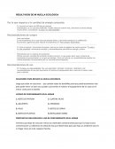 SOLUCIONES PARA REDUCIR LA HUELLA ECOLÓGICA