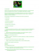 Cual es el nuevo Proyecto expertos en bichos