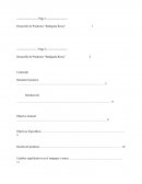 Desarrollo de Productos “Bodeguita Rossy”