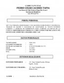 EJEMPLO- CURRICULUM VITAE