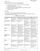 Proyecto especial La gorra de Pepe.