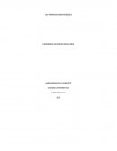 Trabajo sobre las primeras universidades