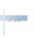 La cesarea. Definición 1 Técnica